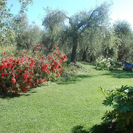 Il Pino Bed & Breakfast Vetulonia Exterior photo